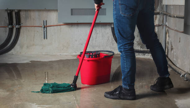 24/7 water damage repair in Brielle, NJ