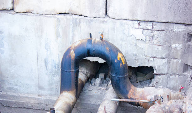 Best Mold removal after water damage  in Brielle, NJ