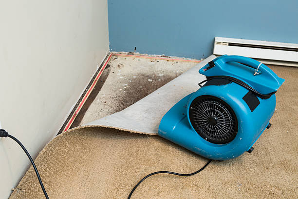Best Ceiling water damage repair  in Brielle, NJ